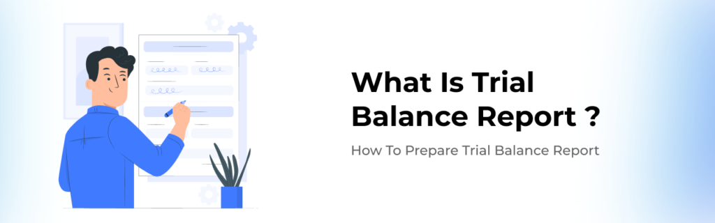 What is Trial Balance Report | Trial Balance Report Example